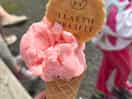 Nearby llaeth preseilli farm with their own gelato and milkshakes!