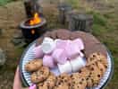 Smores by the fire pit - logs ordered onsite