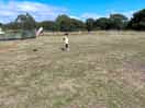 Enough room to fly a kite in the back field