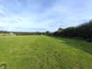 Chalk meadow