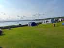 Arfor campsite