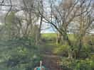 The really lovely woods onsite