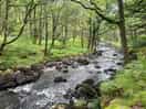 River by campsite