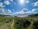Freshwater east - closest beach