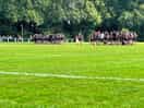 Rugby saturdays