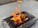 The fire pit