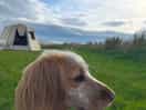 Edie enjoying the view