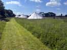Beautifully landscaped