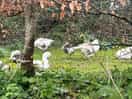 Wildlife on walk