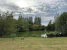 The campsite