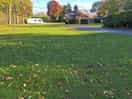 Looking into site from entrance end. all grass pitches