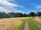 Well cared for fields