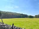 Field