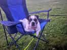 Chilling in the evening