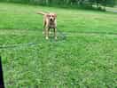 Izzy enjoying life