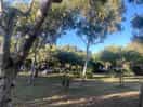 Tente sous les eucalyptus et pins/ une belle ombre
