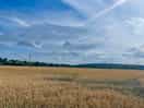 Surrounding fields