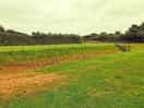 Two tiered accommodation fields