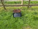 The fire pit - optional rental