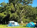 Our tents!