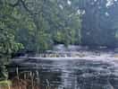 River eden