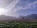 Early morning mist