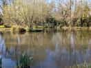 One of the fishing lakes
