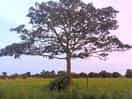 Beautiful scenery