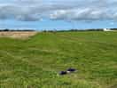 The field