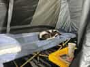 Camping 2024