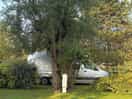 Camping with nature