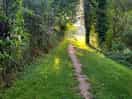 Such a beautiful little footpath to walk along next to the lakes