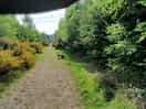 Walk