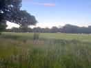 Great view
