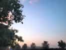 Lovely open skies