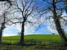 Amazing views over the fields