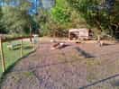 Coins des animaux