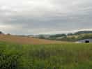 Local landscape