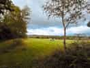 View from top field