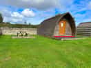 Our pod