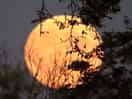 Moonrise zoom!!