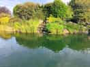 Beautiful lake