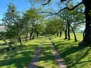 Footpath over adstone hill