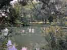 River next to campsite