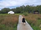 Board walk to the meadow