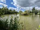 View from peg 8