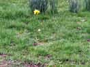 First signs of spring!