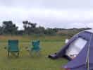 Our pitch