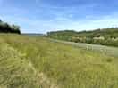Nearby vineyard walk