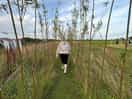 Exploring the site